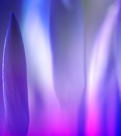 purple-blue-pink-abstract-curtain