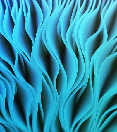 light-teal-aqua-abstract-coral